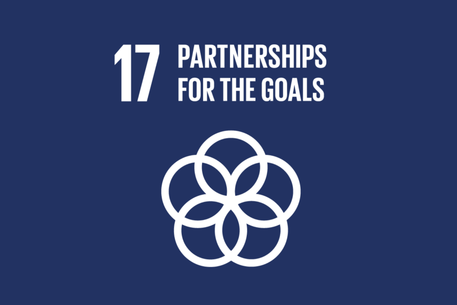 SDG 17