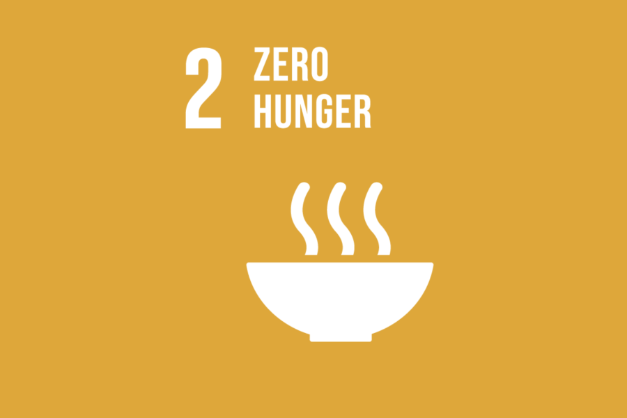 SDG 2