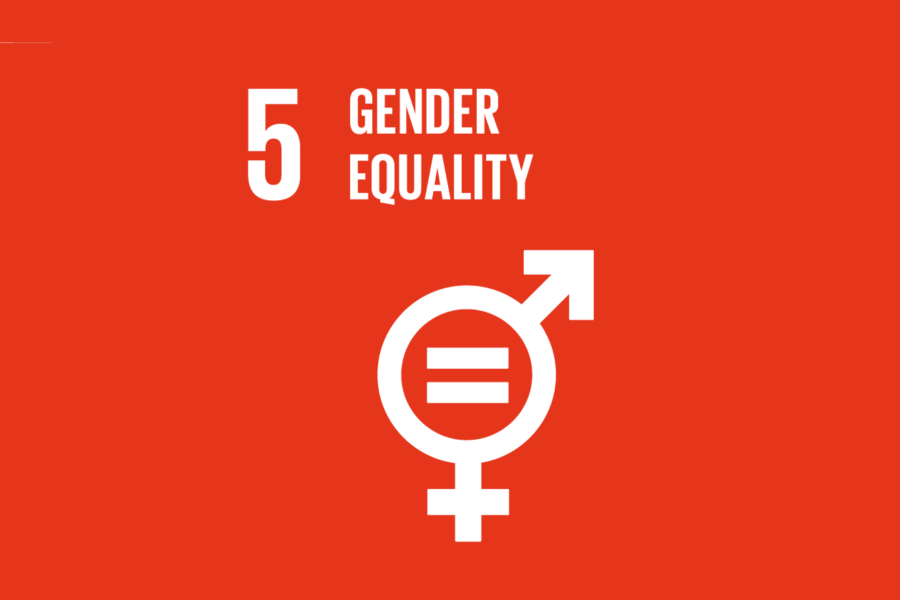 SDG 5